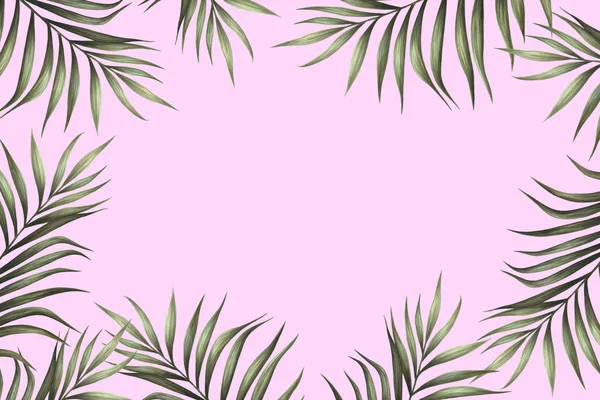 Palm Bladeren Rand Ontwerp Met Roze Achtergrond Tropische Aquarelachtergrond Palmboom — Stockfoto