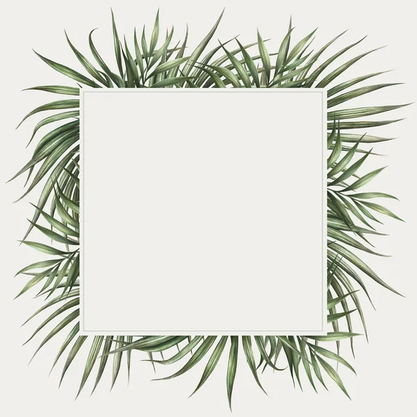Palm Lämnar Gränsdesign Tropisk Akvarell Bakgrund Palm Träd Lämnar Gratulationskort — Stockfoto