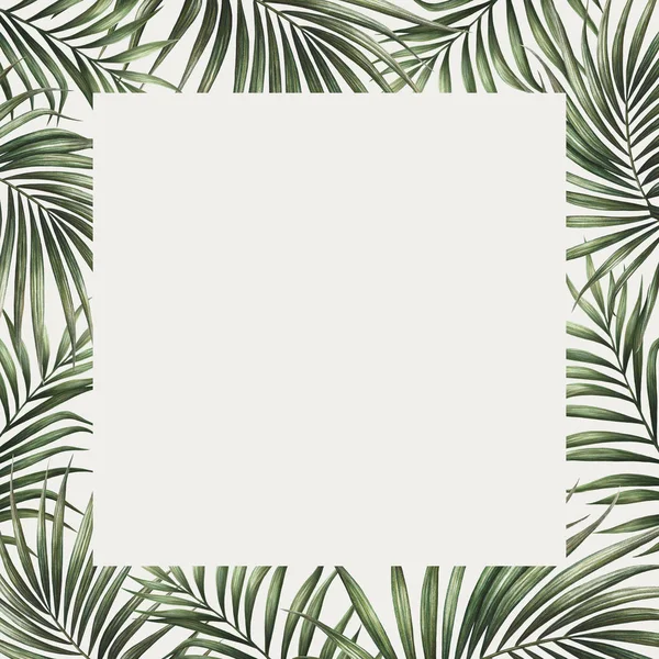 Palm leaves border design. Tropical watercolor background. Palm tree leaves greeting card or wedding invitation. Tropical frame decoration.
