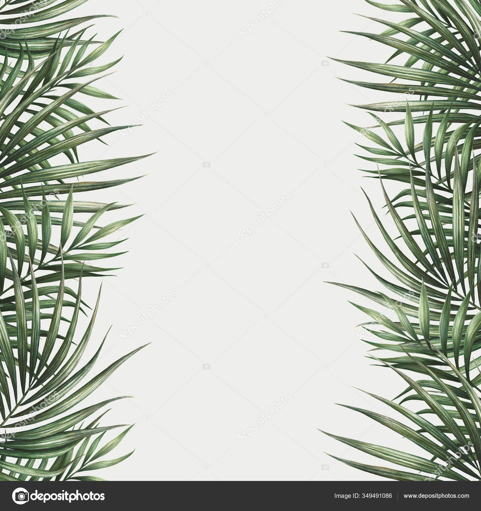Palm Leaves Border Design Tropical Watercolor Background Palm Tree Leaves Stock Photo Image By C Karinacornelius Palm Leaves Border Design Tropical Watercolor Background Palm Tree Leaves Stock Photo Image By C Karinacornelius