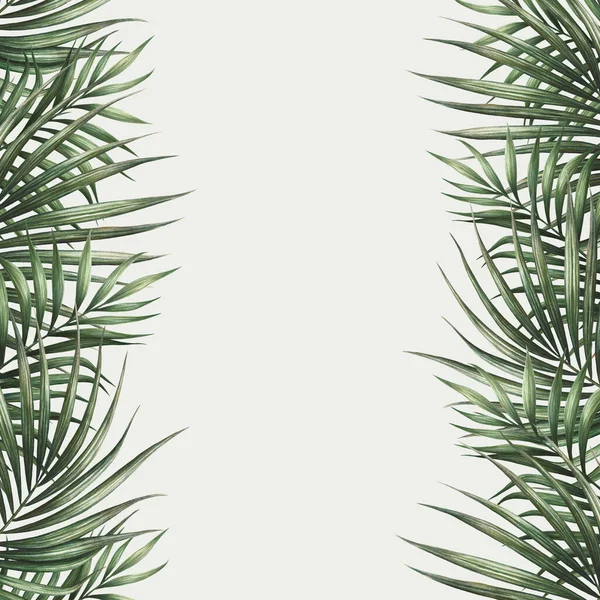 Palm Deja Diseño Del Borde Fondo Acuarela Tropical Palmera Deja — Foto de Stock