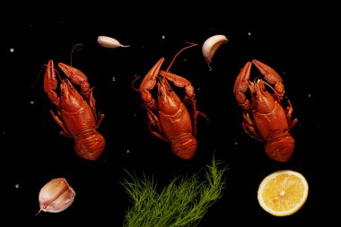 Deniz tuzu, sarımsak, limon ve dereotu ile haşlanmış crayfishes 