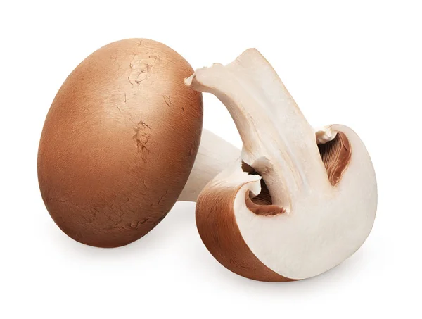 Fresh royal champignon mushroom and half isolated on white — Stock Photo, Image