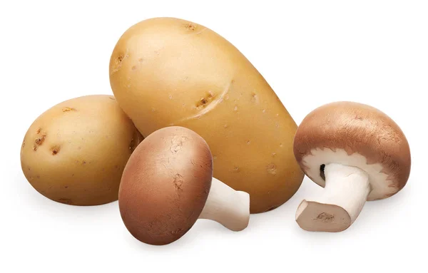 Dois cogumelos de champignon reais e batatas descascadas — Fotografia de Stock