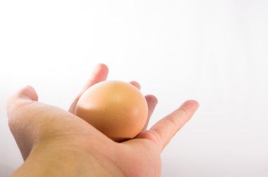 Sarı yumurta beyaz arka plan üzerinde tutan el