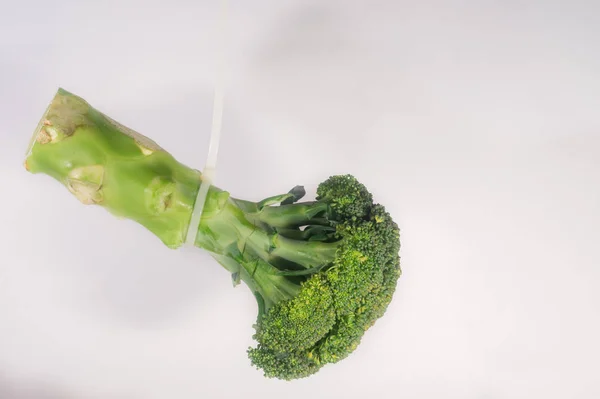 Hängen gebunden grün brocolly durch Seil auf weißem Hintergrund — Stockfoto