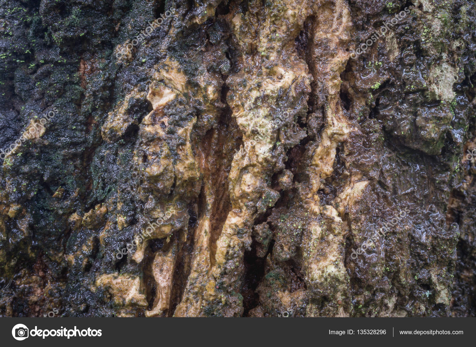 Текстура поверхности старого зеленого коричневого черного дерева ...