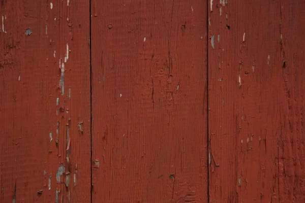 Brown painted wood texture — Stock Photo, Image