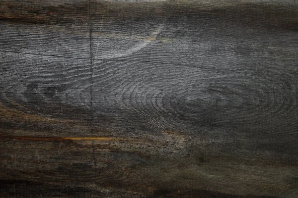 Natural gray wood organic texture