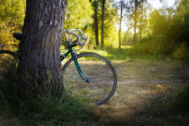 Ormandaki eski yeşil Spor bisikleti