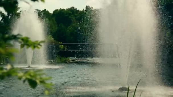 De fontein in het park en een heleboel buizen op een achtergrond van groene zomer bomen — Stockvideo