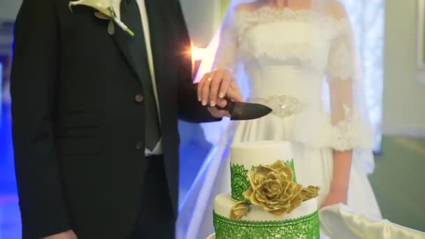 Uma noiva e um noivo estão cortando seu bolo de casamento — Vídeo de Stock