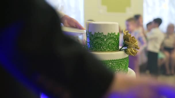 Una novia y un novio están cortando su pastel de bodas. — Vídeos de Stock