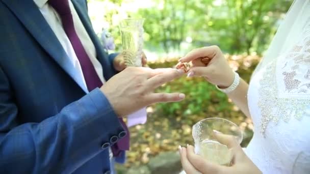 Наречений і наречена обміняти обручки, молодят, обмін кільцями, наречена одягає кільце палець до її наречений — стокове відео