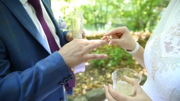 Groom and bride exchange wedding rings, newlyweds exchange rings, Bride puts ring on a finger to her fiance — Stock Video