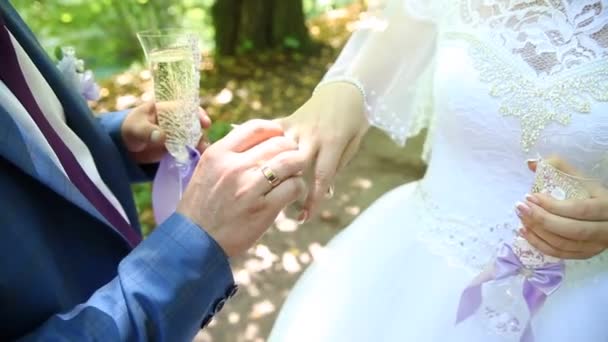 Groom and bride exchange wedding rings, newlyweds exchange rings, Bride puts ring on a finger to her fiance — Stock Video