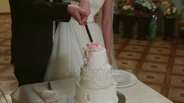 Una sposa e uno sposo stanno tagliando la loro torta nuziale — Video Stock