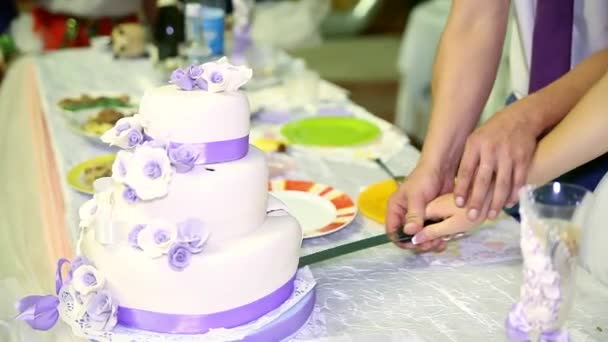 Panna młoda i pan młody jest cięcie ich tort weselny — Wideo stockowe