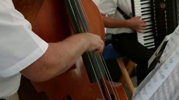 Hand des Musikers an den Basssaiten — Stockvideo