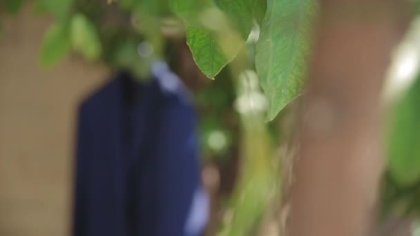 Hochzeit, die Jacke des Bräutigams hängt im Garten — Stockvideo