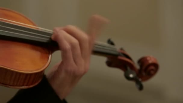 En fiol i eleganta mens händer — Stockvideo