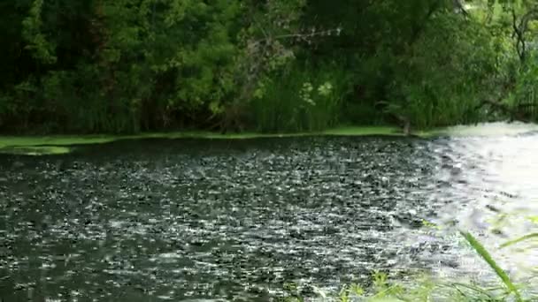 Duże krople deszczu na tle jeziora — Wideo stockowe