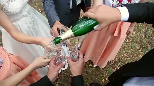 Крупным планом молодоженов и гостей наливают шампанское в бокалы — стоковое видео