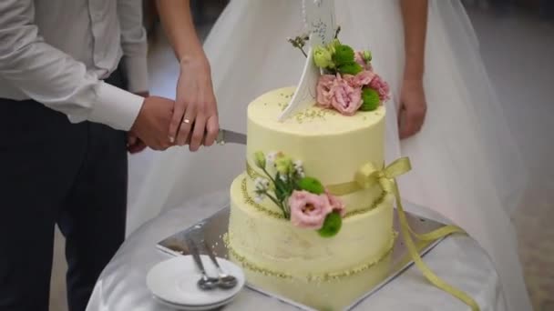 Primo piano, sposa e sposo grande coltello tagliato torta nuziale — Video Stock