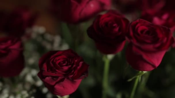 Обручальные кольца на букете из красных роз, движение ползунка — стоковое видео