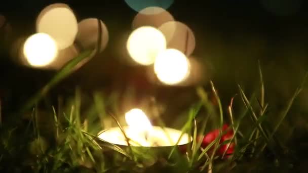Muchas velas pequeñas en la noche, en la hierba verde — Vídeos de Stock