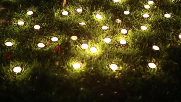 Muchas velas pequeñas en la noche, en la hierba verde — Vídeo de stock