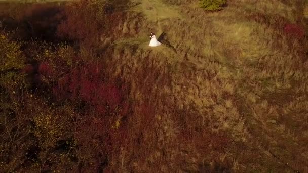 Vista aérea, hermosa novia y novio juntos. boda — Vídeos de Stock