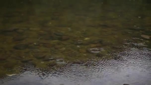 Close-up, σταγόνες βροχής σε ποιο ποτάμι του βουνού — Αρχείο Βίντεο