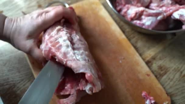 Close up van het uitsnijden van konijnenkarkas thuis — Stockvideo