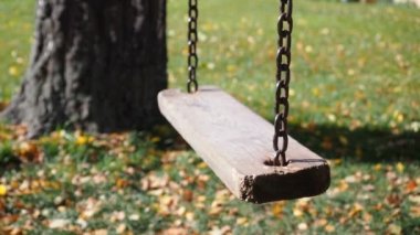 Yalnız salıncak rüzgarda ağaçlar sonbahar Park çevrili sways. Altın yapraklar çevresinde. Salıncak ahşap plakalar yapılır ve demir zincirleri üzerinde asılı