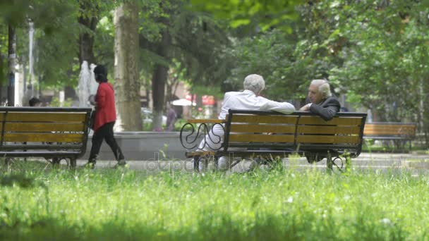 Kutaisi, georgia - Mai 2017: zwei alte georgische Männer sprechen auf einer Parkbank sitzend. kutaisi, georgien — Stockvideo