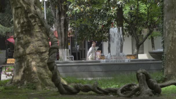 Kutaisi, Geórgia - Maio de 2017: Pessoas caminhando no parque central de Kutaisi. Kutaisi, Geórgia — Vídeo de Stock