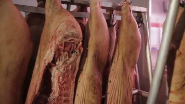 těla uhynulých zvířat v oddělení masa ze supermarketu.