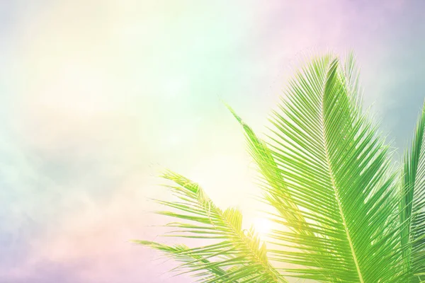 Palmeira folhas sobre pacífica praia tropical fundo, azul mar paisagem cartão — Fotografia de Stock