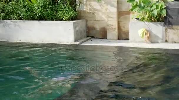 Ragazzino e ragazza nuotare sott'acqua in piscina — Video Stock