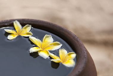 Çiçek plumeria veya frangipani kil sürahi su dekore edilmiş. Zen tarzı spa meditasyon ruh hali için kase