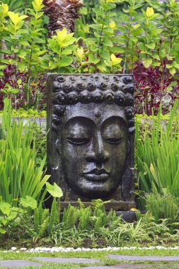Buda resim Ubud, Bali tropikal bahçesinde düşen su ile.