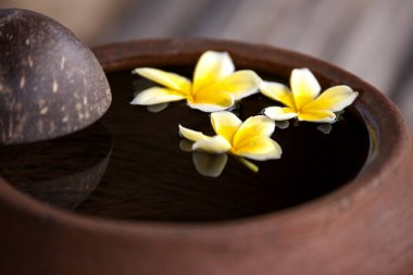 Çiçek plumeria veya frangipani kil sürahi su dekore edilmiş. Zen tarzı spa meditasyon ruh hali için kase