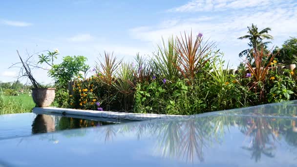 Tropický bazén na luxusní hotel. vodní vibrace na vítr. — Stock video