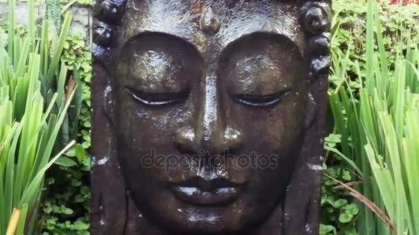 Buddha med fallande vatten i den tropiska trädgården i Ubud, Bali. — Stockvideo