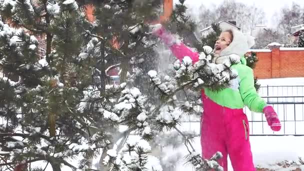 Diversión, árbol, nieve. Madre sacude el árbol y la nieve cae sobre la niña, que está sorprendida y muy emocional al respecto . — Vídeo de stock