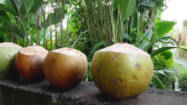 Vue rapprochée d'une noix de coco — Video