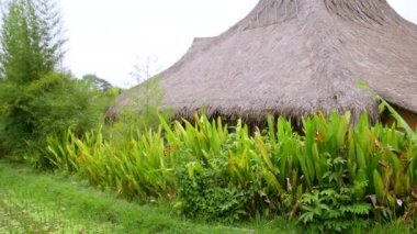 Havadan görünümü pirinç tarlaları ve ev Bali
