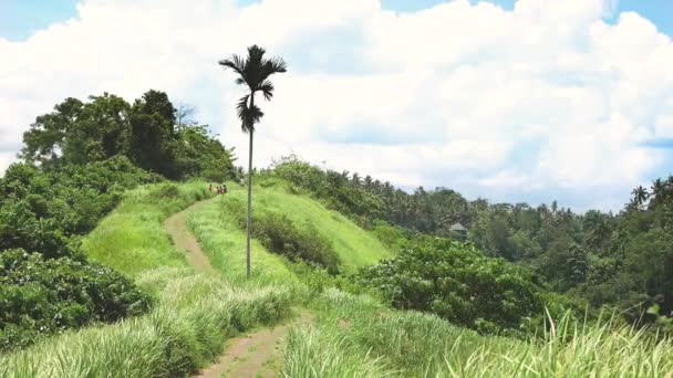 Pohled na Campuhan Ridge procházka, Green Hill, palmu a džungle v Ubud, Bali — Stock video