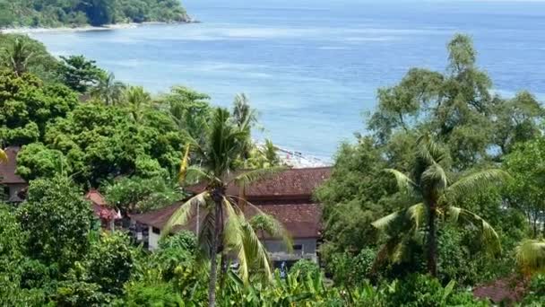 Paisaje naturaleza isla tropical con montañas rocosas cubierto denso árbol de la selva verde, palma y agua de mar océano — Vídeo de stock